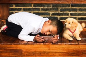 Read more about the article Lær dit barn at omgås hunde